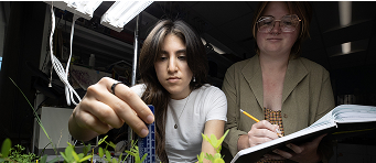 Image for: humanities and social sciences