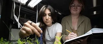 Image for: humanities and social sciences